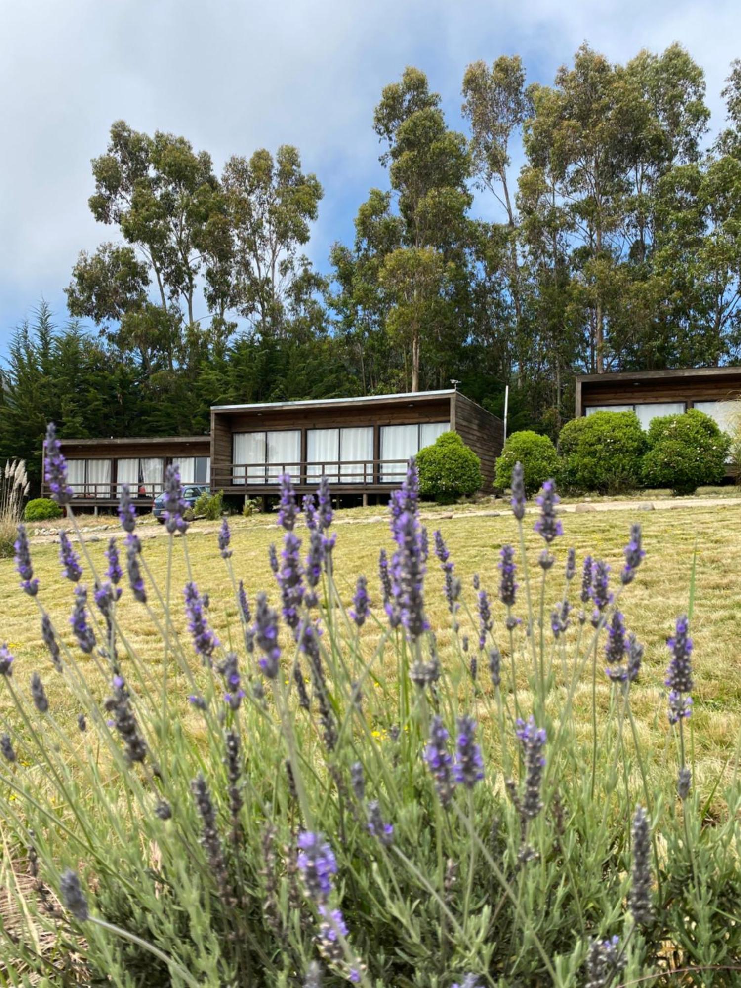 Cabanas Lovel-Van Куранипе Экстерьер фото